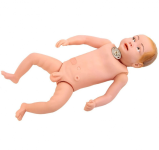 Advanced infant tracheostomy nursing model - opening a new professional chapter in infant and child care