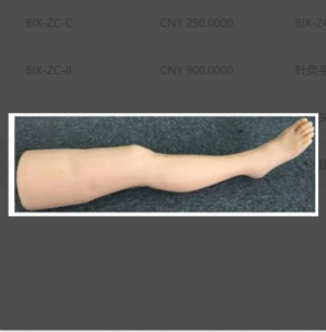 Acupuncture leg Training Model: Simulating Real environment and strengthening practical Skills