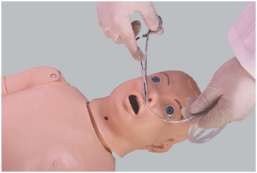 Is the pediatric nasogastric tube model only a training tool for nasogastric operation?
