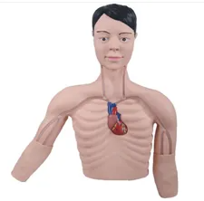 The principle of PICC intervention training model