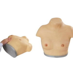 Advanced breast visual and palpation model