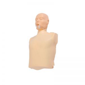 The advantages of the simplified half-body cardiopulmonary service simulation manikin