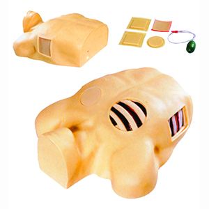 The role of the thoracic puncture and drainage model