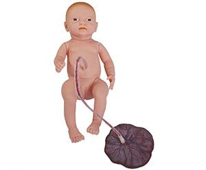 What is the purpose of the neonatal umbilical cord care model