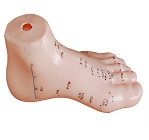 The application scenarios of the foot acupuncture model