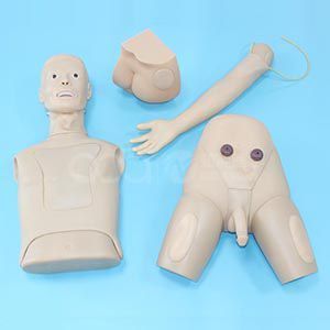 The role of the advanced basic nursing practice operation model