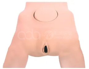 The application scenarios of the pelvic measurement model