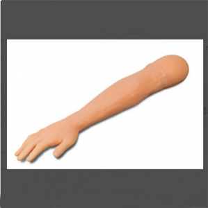 The role of acupuncture in training arm models