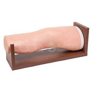 The significance of the intra-articular injection model of the knee joint