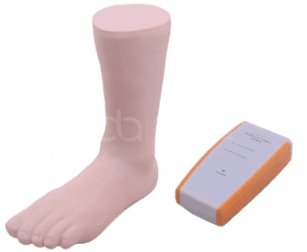 The role of the ankle puncture model